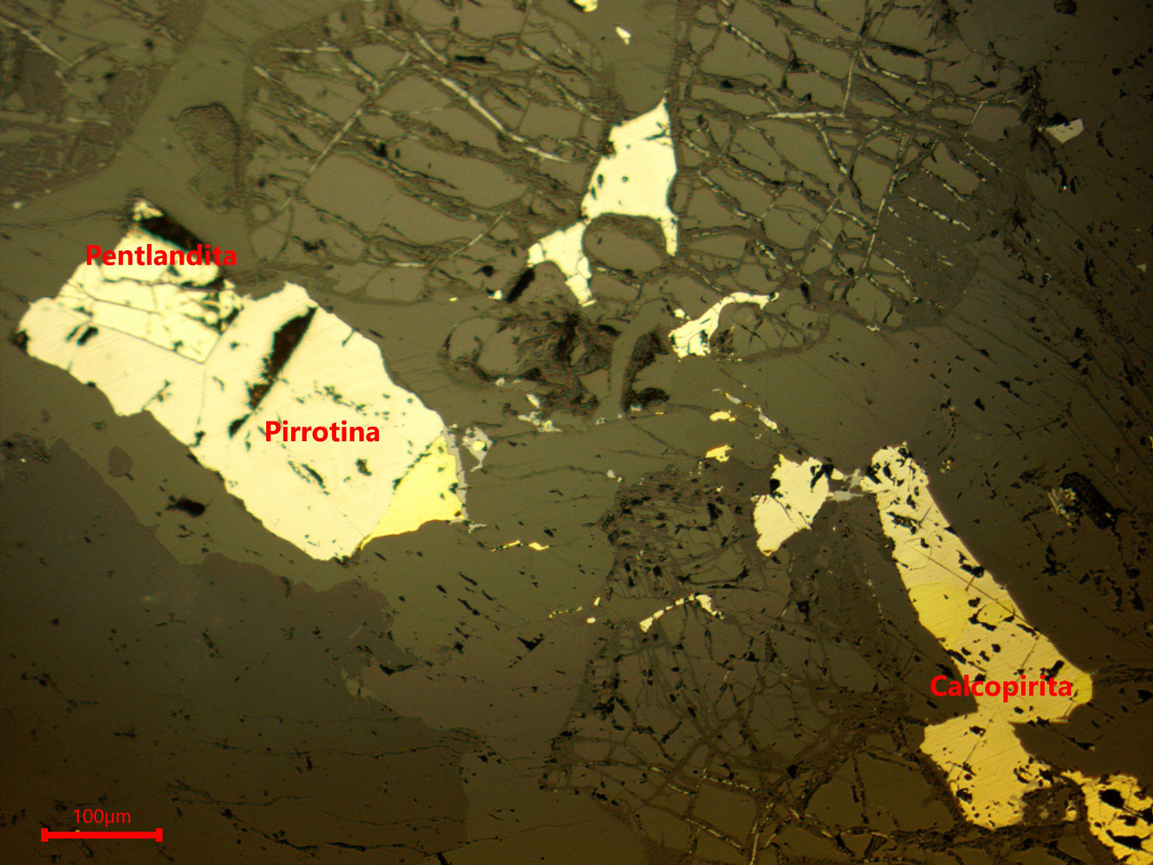 Yacimiento Aguablanca - muestra de mano 05 - mineralización 01