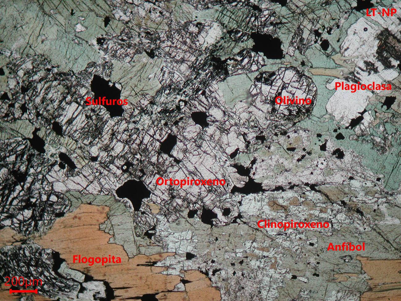 Yacimiento Aguablanca - muestra de mano 05 - rocas encajantes 01