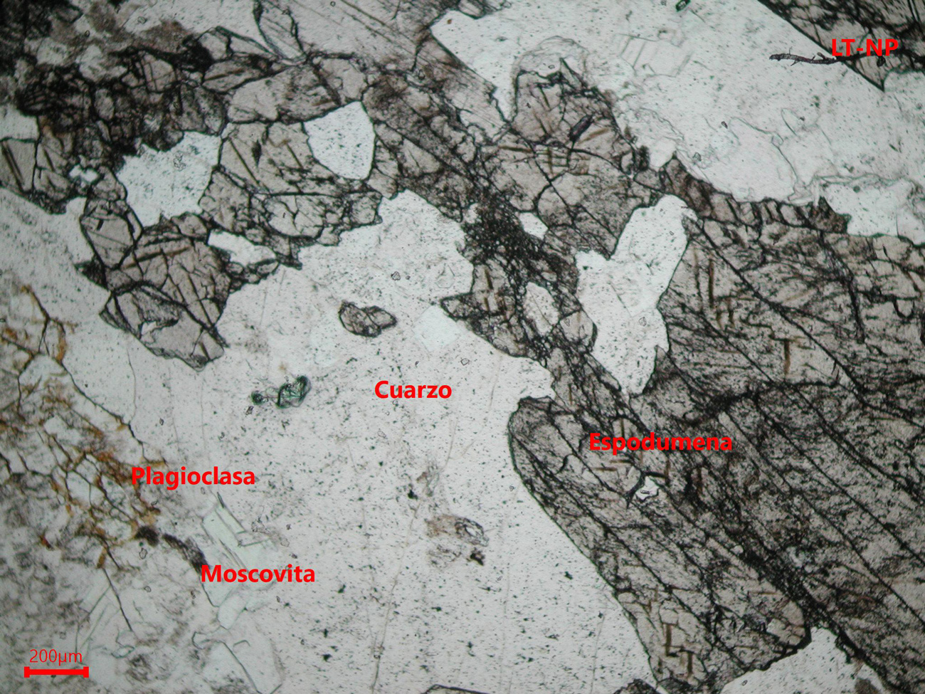 Mina Alberto- muestra de mano 01 - mineralización 01