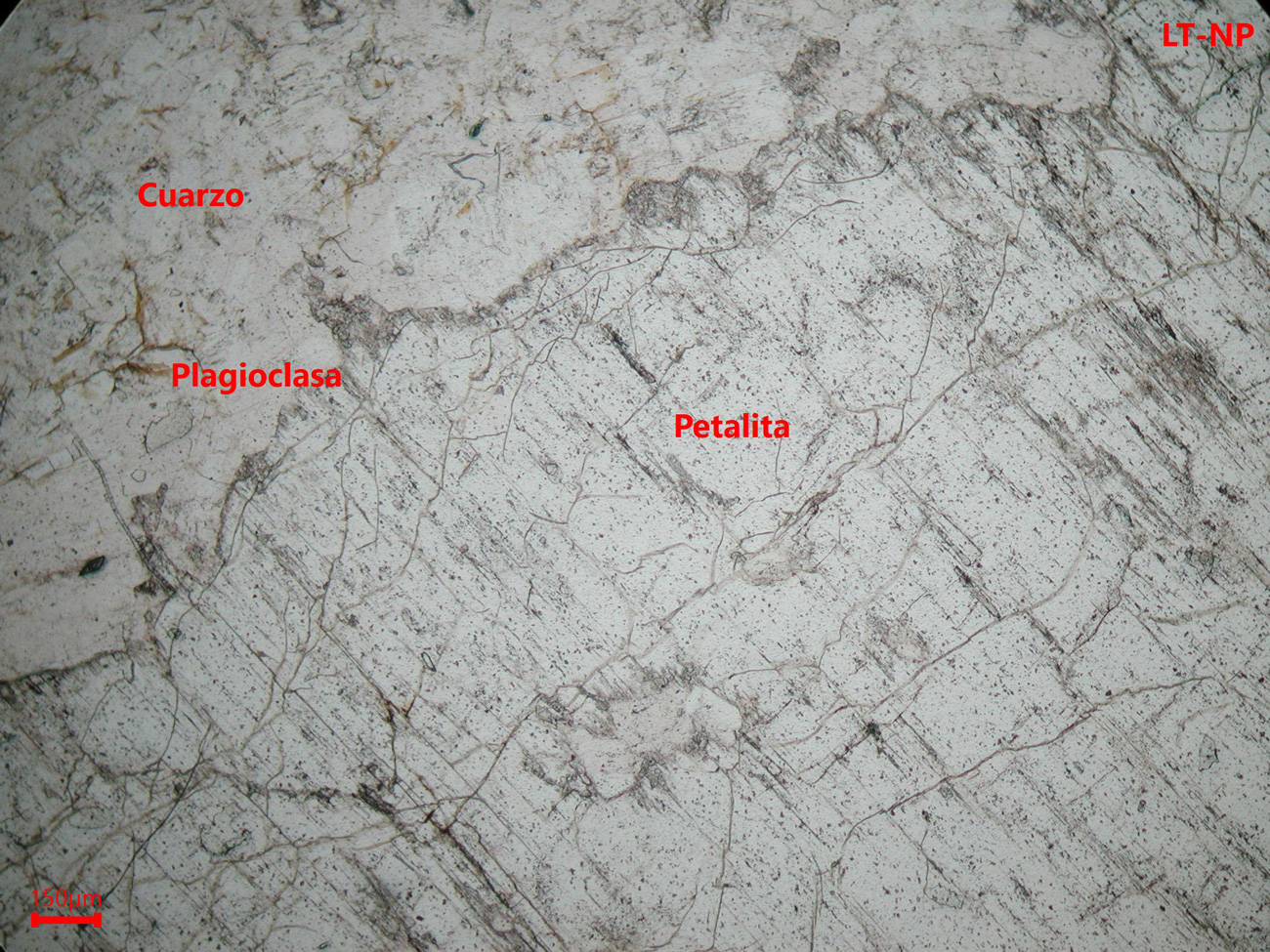 Mina Alberto- muestra de mano 02 - mineralización 01