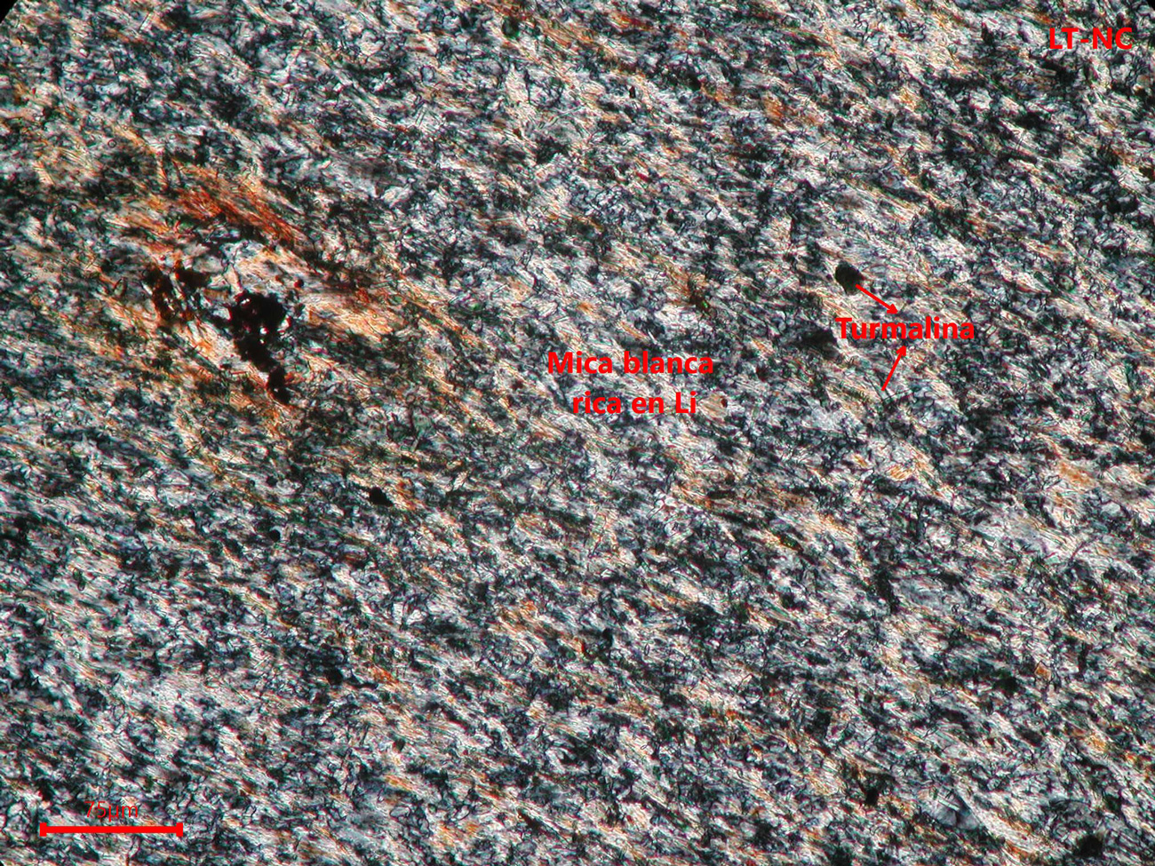 Yacimiento de Valdeflórez - muestra de mano 02 - rocas encajantes 02