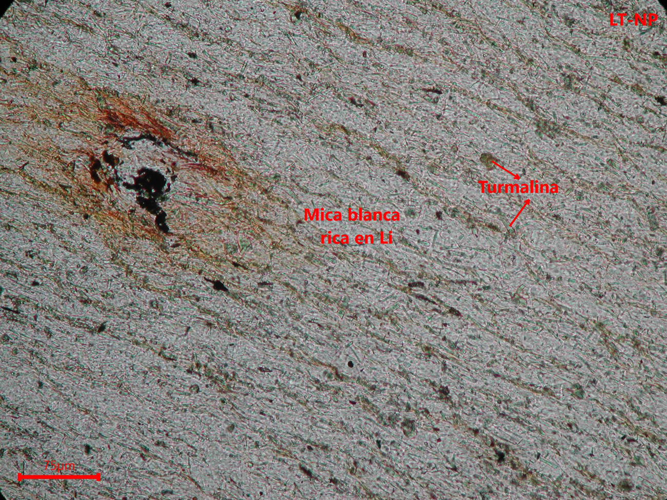 Yacimiento de Valdeflórez - muestra de mano 02 - rocas encajantes 01