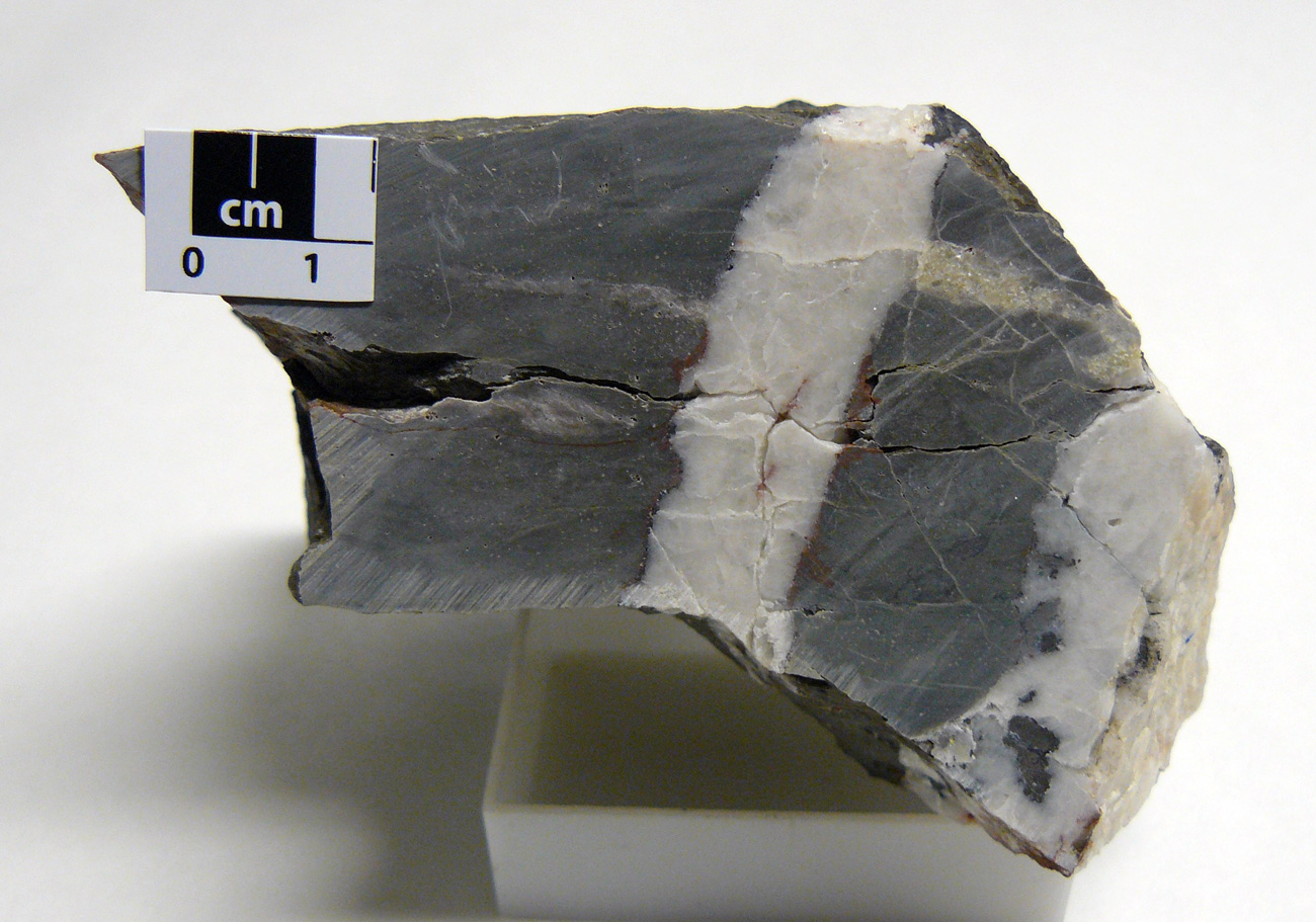 Yacimiento de Valdeflórez - muestra de mano 01