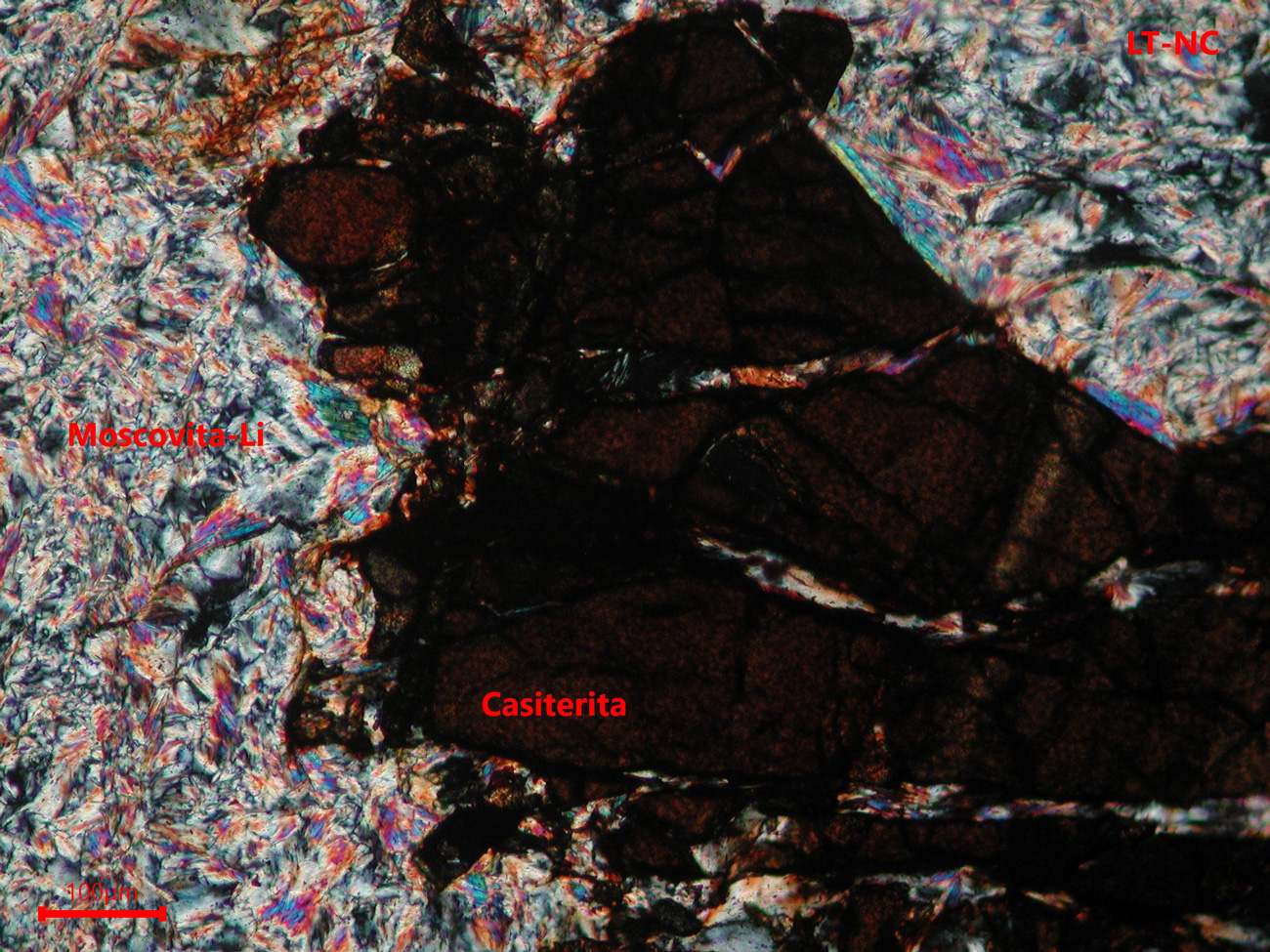 Yacimiento de Valdeflórez - muestra de mano 02 - mineralización 02