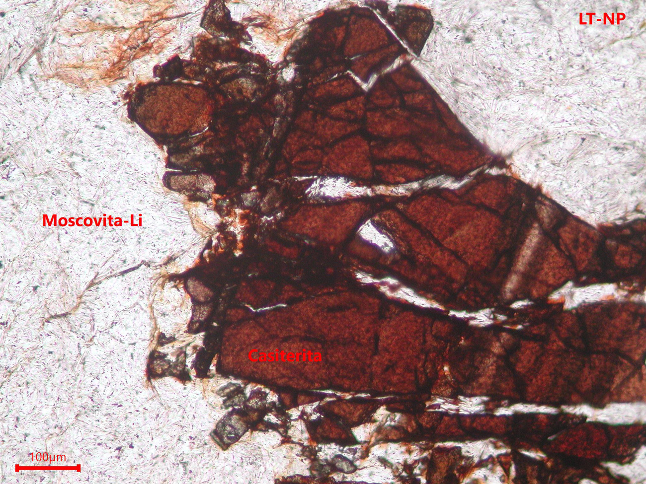 Yacimiento de Valdeflórez - muestra de mano 02 - mineralización 01