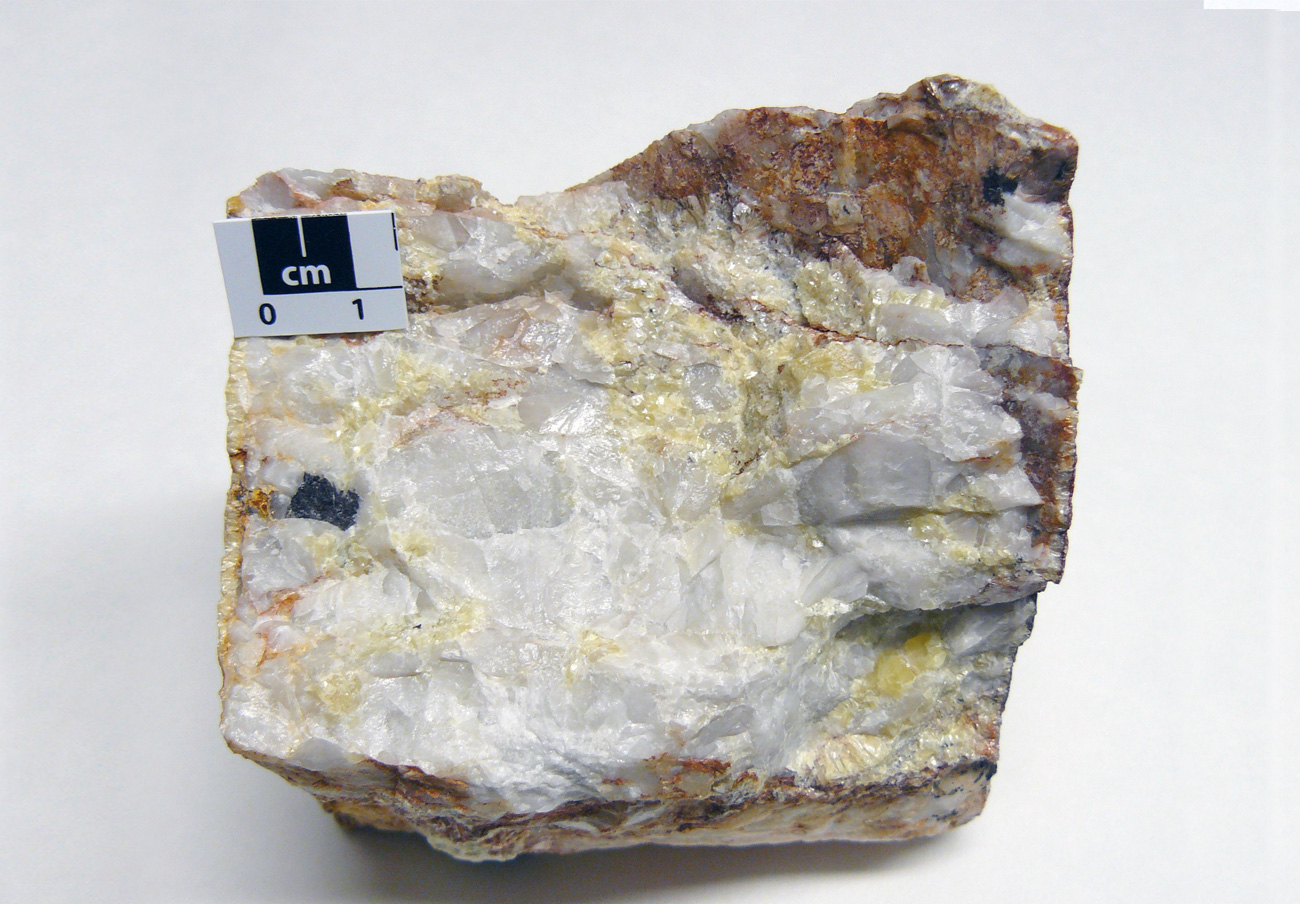 Yacimiento de Valdeflórez - muestra de mano 02