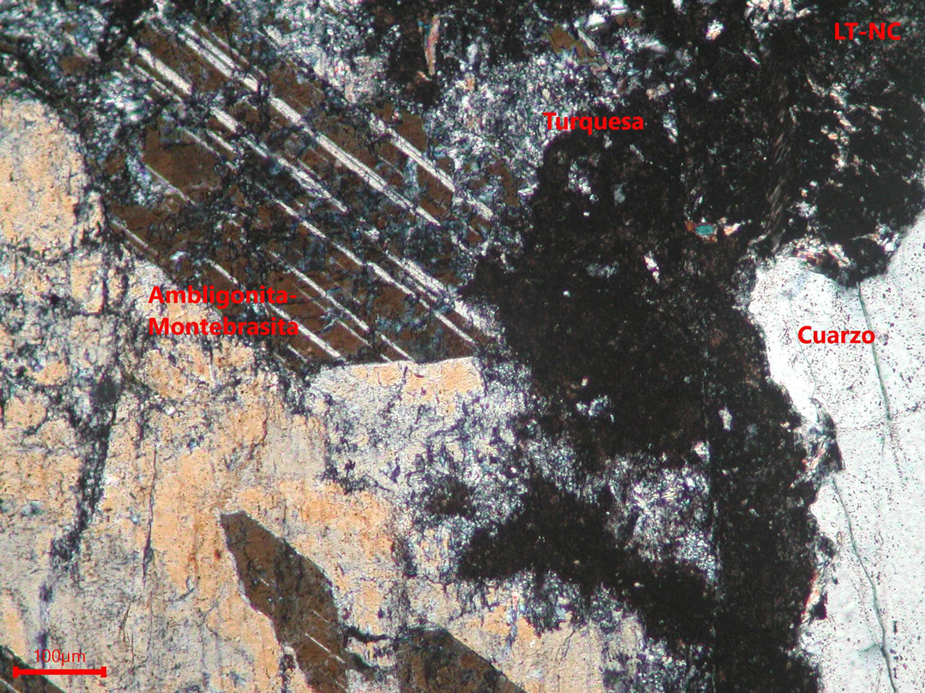 Yacimiento de Valdeflórez - muestra de mano 04 - mineralización 02