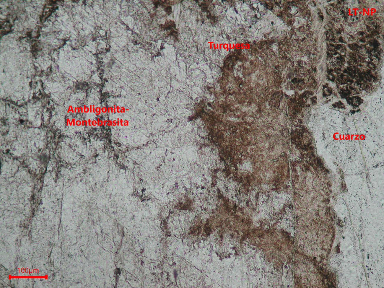 Yacimiento de Valdeflórez - muestra de mano 04 - mineralización 01