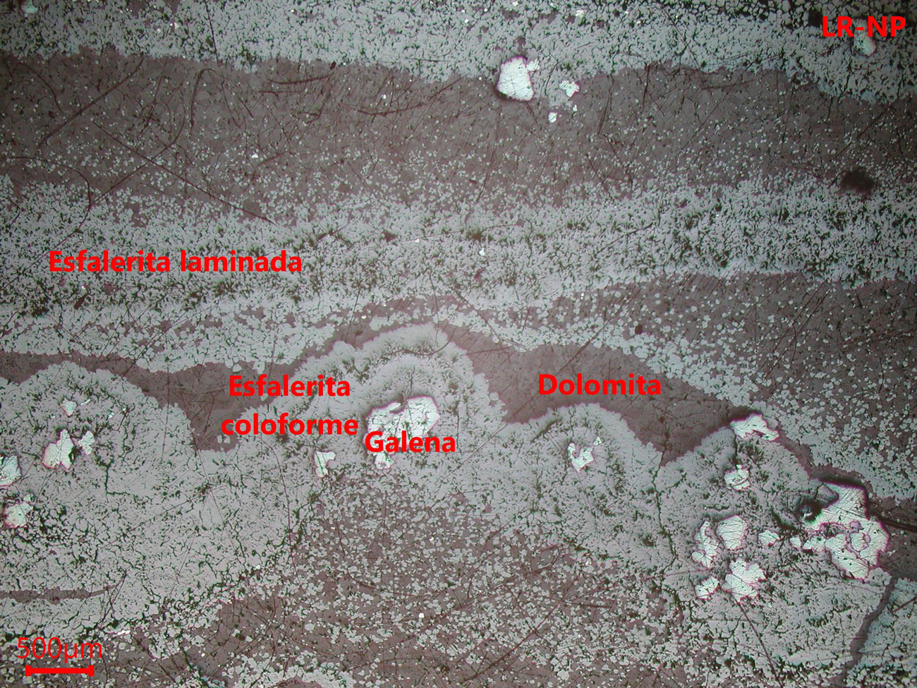 Mina de Reocín- muestra de mano 01 - mineralización 01