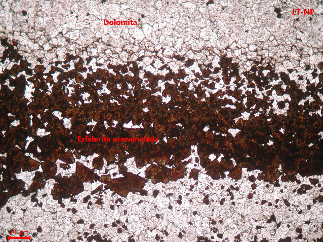 Mina de Reocín- muestra de mano 01 - rocas encajantes 01