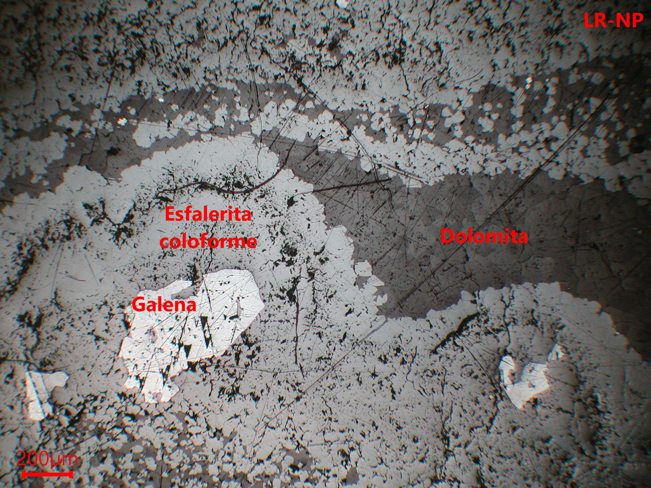 Mina de Reocín- muestra de mano 01 - mineralización 02
