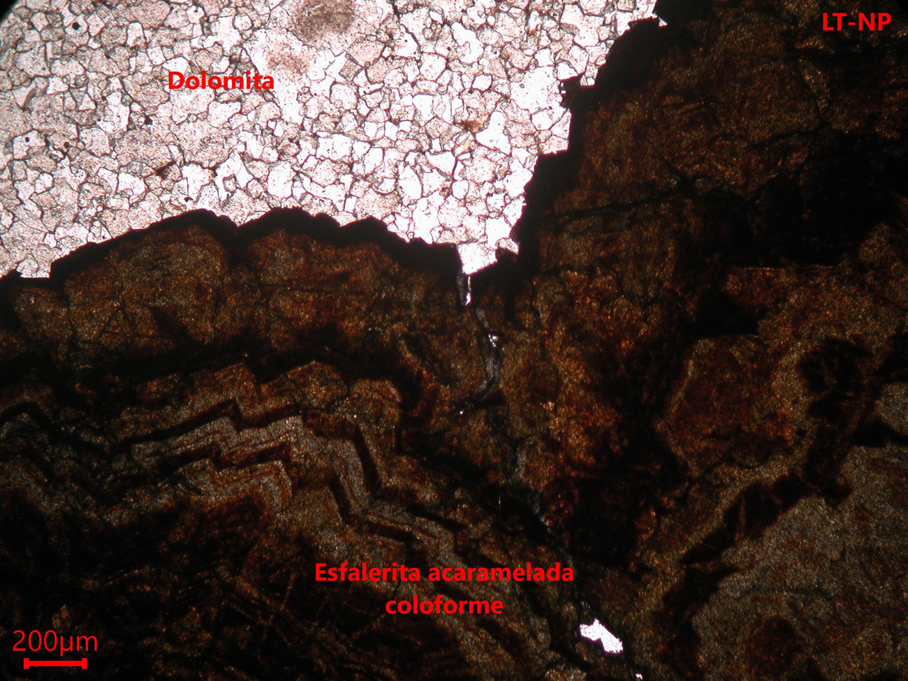 Mina de Reocín- muestra de mano 01 - rocas encajantes 03