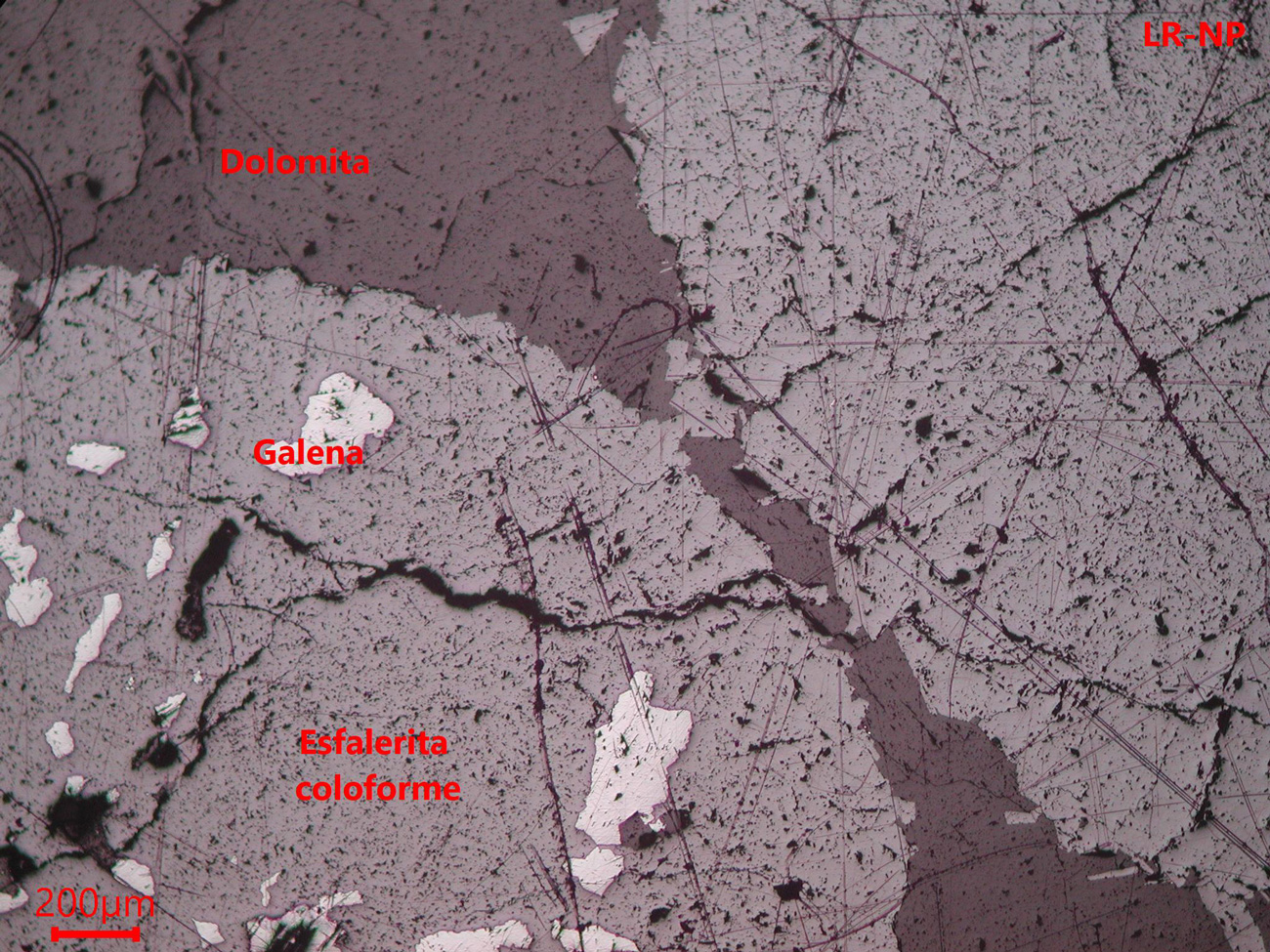 Mina de Reocín- muestra de mano 02 - mineralización 01