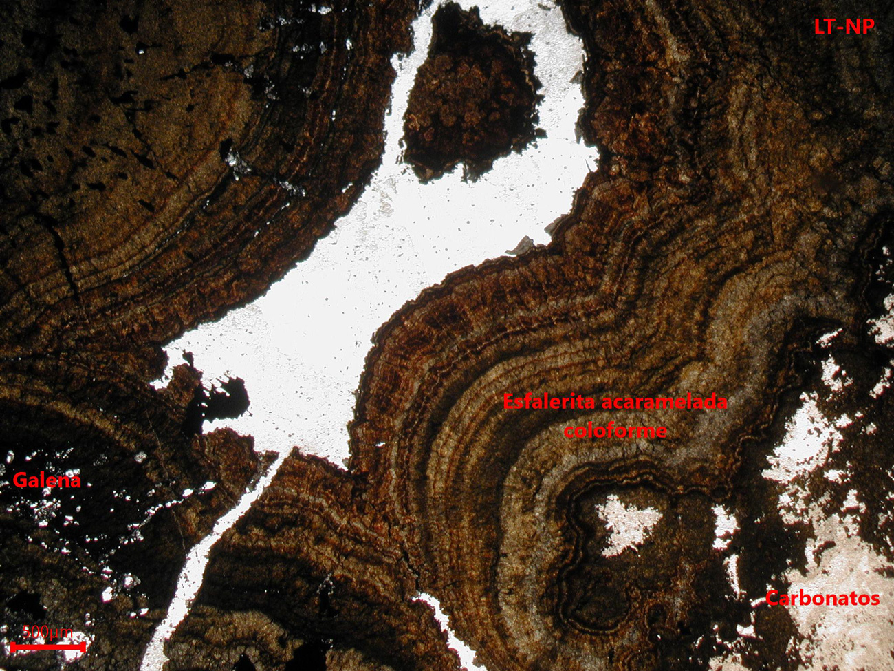 Mina de Reocín- muestra de mano 02 - rocas encajantes 01