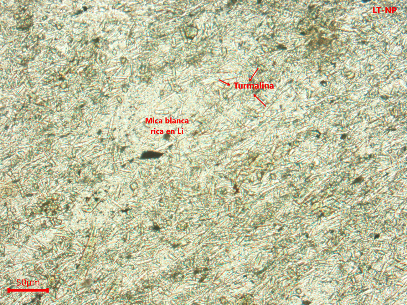 Yacimiento de Valdeflórez - muestra de mano 01 - mineralización 04