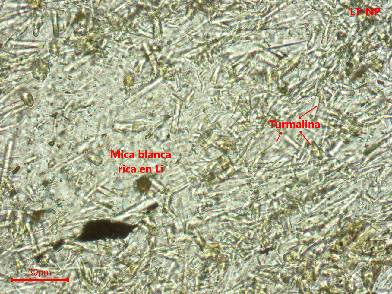 Yacimiento de Valdeflórez - muestra de mano 01 - mineralización 02