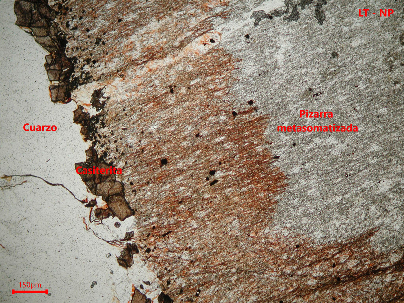 Yacimiento de Valdeflórez - muestra de mano 01 - mineralización 01