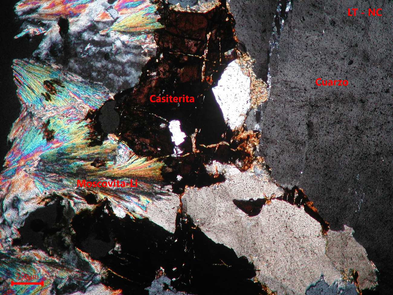 Yacimiento de Valdeflórez - muestra de mano 03 - mineralización 02