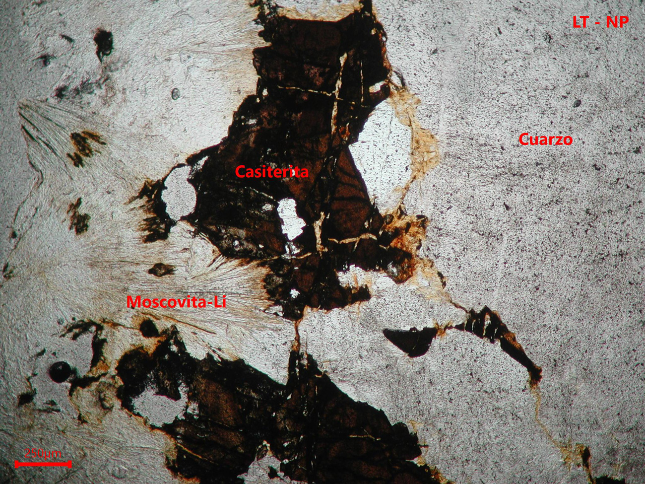 Yacimiento de Valdeflórez - muestra de mano 03 - mineralización 01