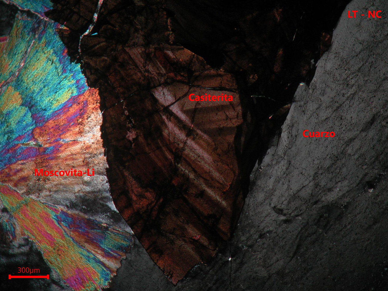 Yacimiento de Valdeflórez - muestra de mano 03 - mineralización 04