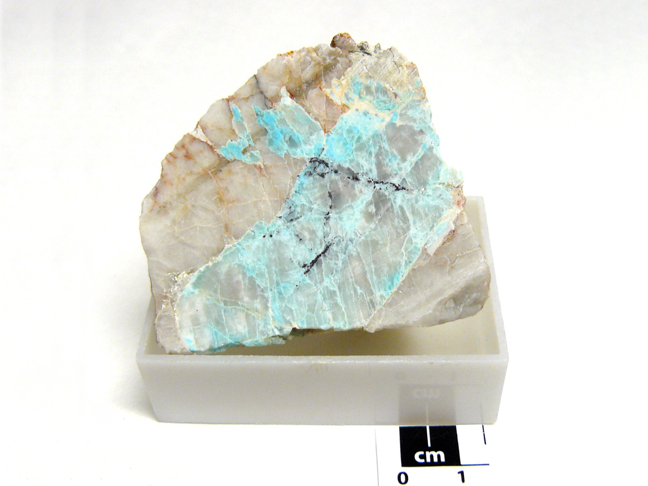 Yacimiento de Valdeflórez - muestra de mano 04a