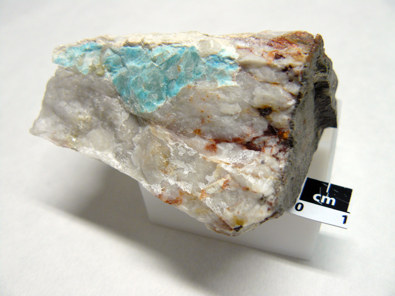 Yacimiento de Valdeflórez - muestra de mano 04b